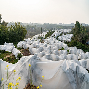 Agriculture Garden Biodegradable Treated PP Spunbonded Nonwoven Fabric To Keep Plant Warm Non Woven Fabric Plant Cover