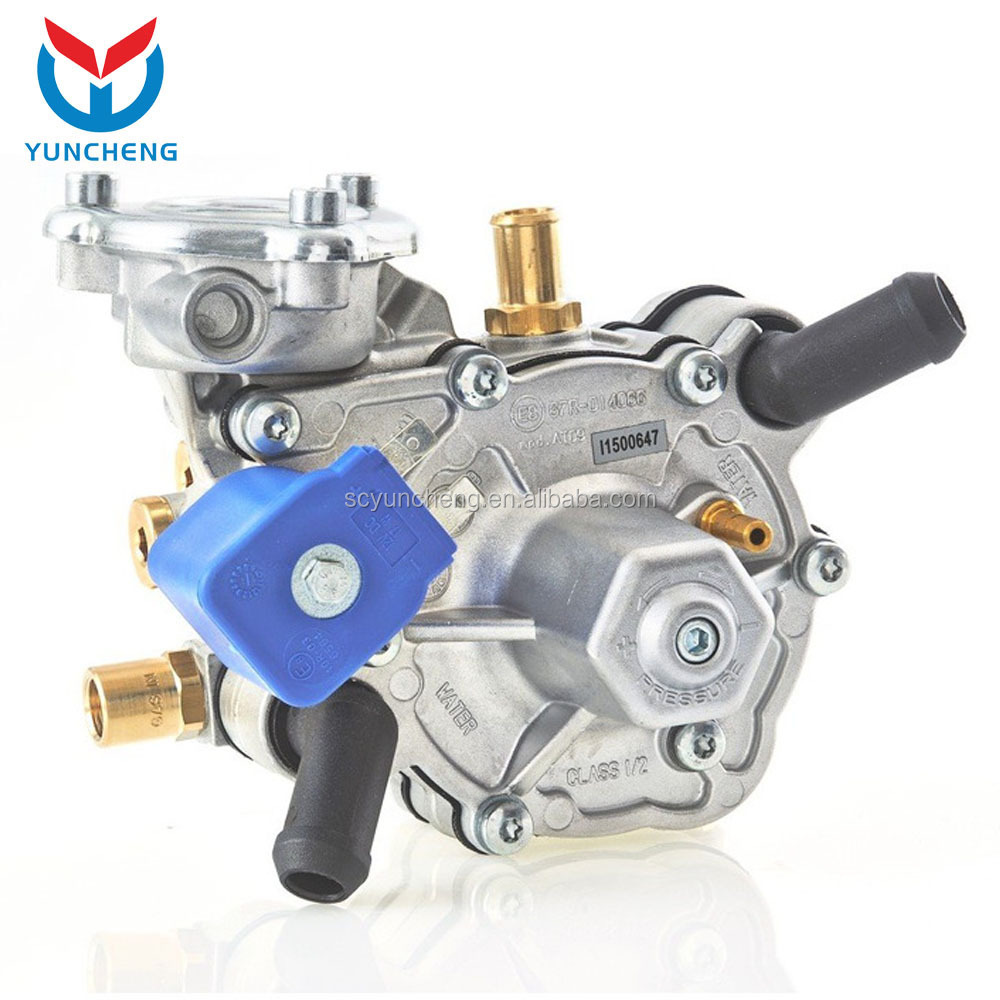 YCR03001 OEM High Quality Electric Lpg Reducer Conversion kit for Sale