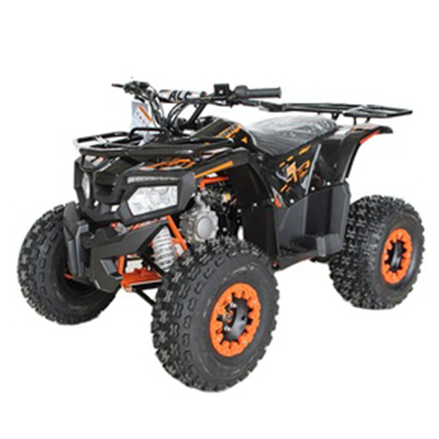 buggy atv quad epa adult atvs 4 wheeler 125cc 110cc 4 stroke mini ATV for kids/teenager