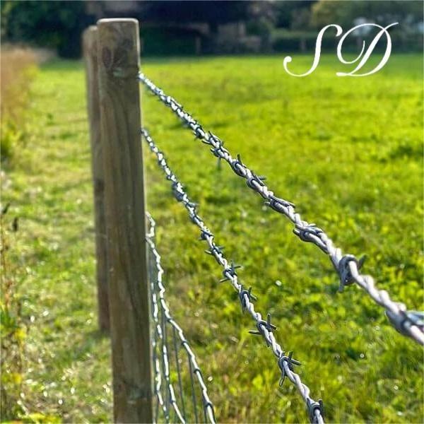 Hot selling cheap Galvanized Traditional barb fence roll barbed galvanized concertina wire