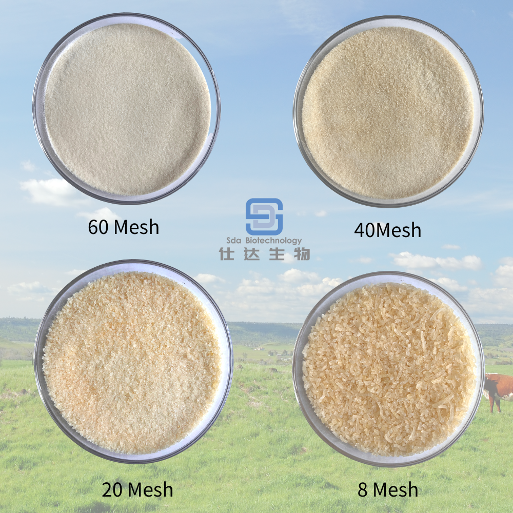 High Quality Food Grade organic gelatin Powder or granular 30-120mesh Gelatin