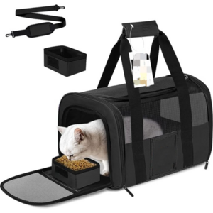 New Cat Bag Tote Pet Bag Outing Portable Small Dog Bag Foldable Breathable Cat Backpacks