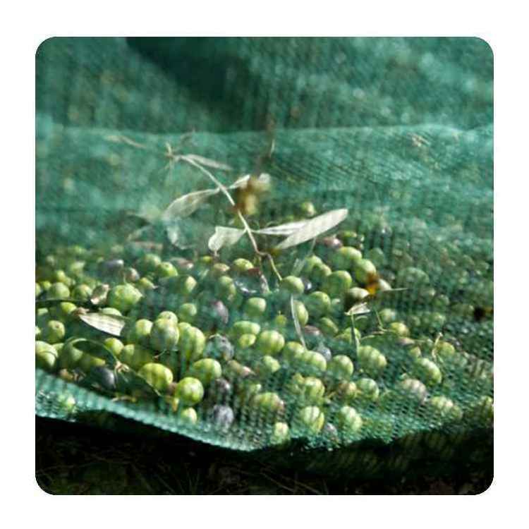 ANTAI HDPE  Dark green Color Olive Netting Harvest Net Olive Net