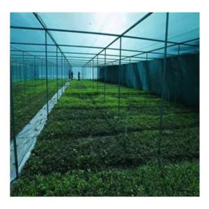 Agriculture Protection Vegetable Greenhouse Covers Sun Shade Net