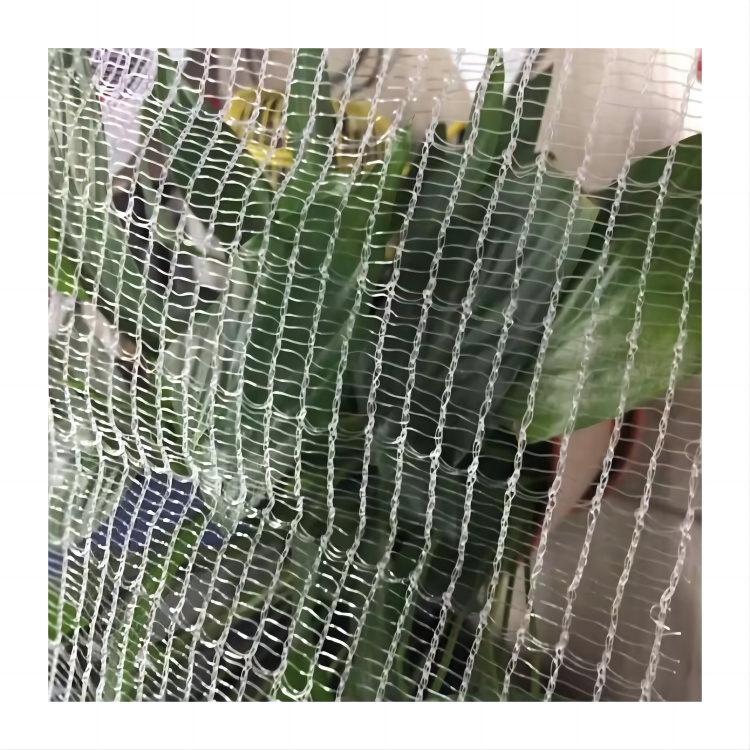 Garden Net Bird Catching Bird Net HDPE  Anti Bird Netting for Protecting Crop