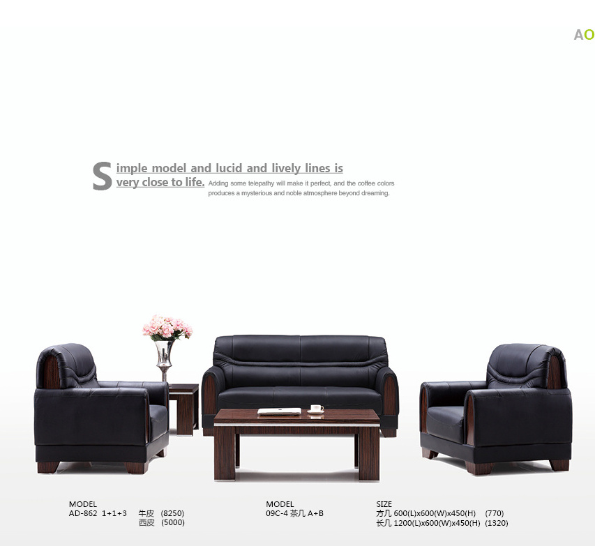 modern leather sofa set AD-862