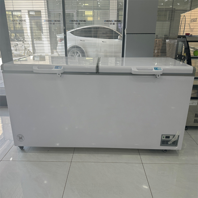 OEM Custom Upright Glass Door Supermarket Ice Cream Freezer for Frozen Food with CE Refrigeration Equipment