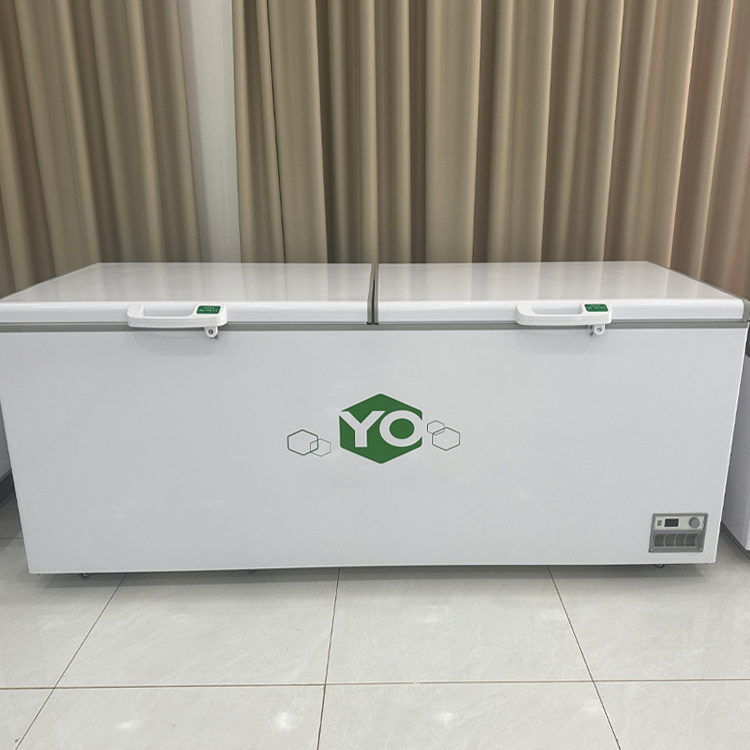 OEM Custom Upright Glass Door Supermarket Ice Cream Freezer for Frozen Food with CE Refrigeration Equipment