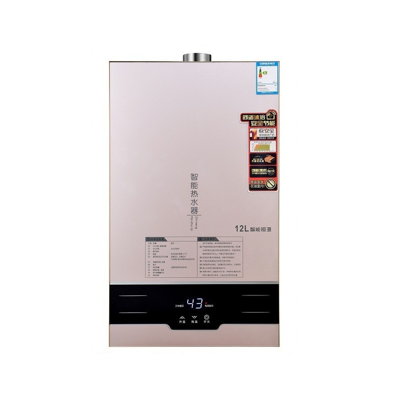 8L/10L/12L/16L/18L/20L/22L/24L LPG/LNG Gas Water Heater Domestic Instant Tankless Propane Tankless Gas Water Heater