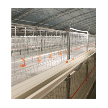 Fully automatic and convenient poultry chicken cages and broiler chicken cage breeding machinery and equipment