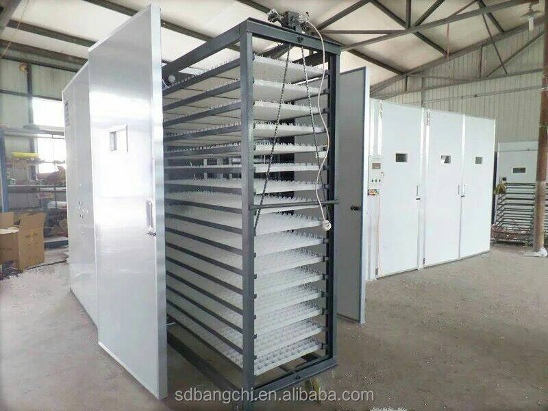 Solar Energy commercial   500 eggs Egg Incubators fully automatic Automatic Hatching Machine for sale