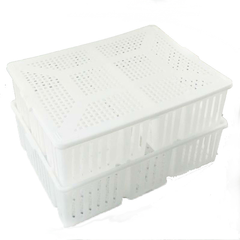 Clean and efficient  Plastic Chicken Transport cage for chick or bird or broiler or layer