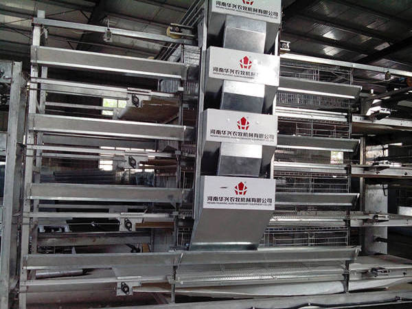 automatic used feeding drinking 120 broiler poultry chicken cage for sale