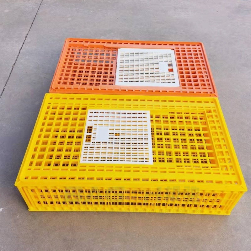 BC Series High Durable Best Selling Plastic Live Chicken Transport Transporting  cage for poultry