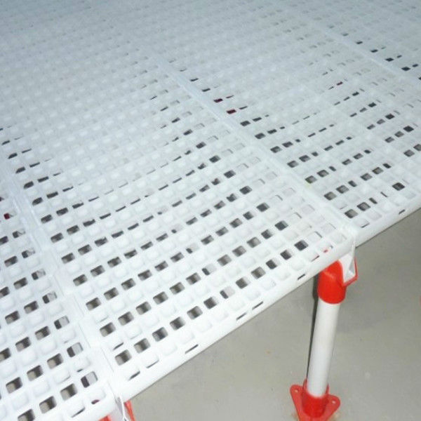 Plastic chicken Slat with supporting legs for chicken house