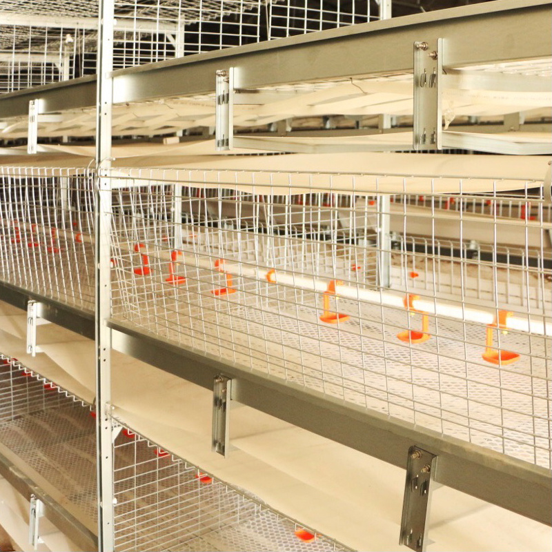 automatic used feeding drinking 120 broiler poultry chicken cage for sale