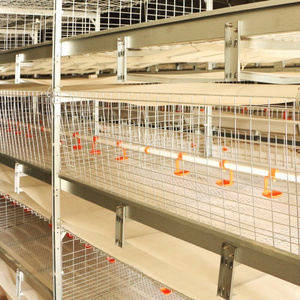 automatic used feeding drinking 120 broiler poultry chicken cage for sale