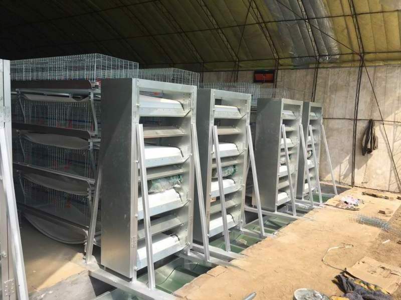 automatic used feeding drinking 120 broiler poultry chicken cage for sale