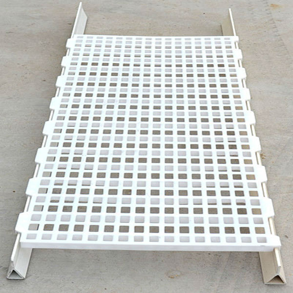 Plastic chicken Slat with supporting legs for chicken house