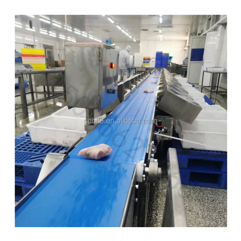Food Processing Machinery Automatic Belt Type Weight Grading Machine ...