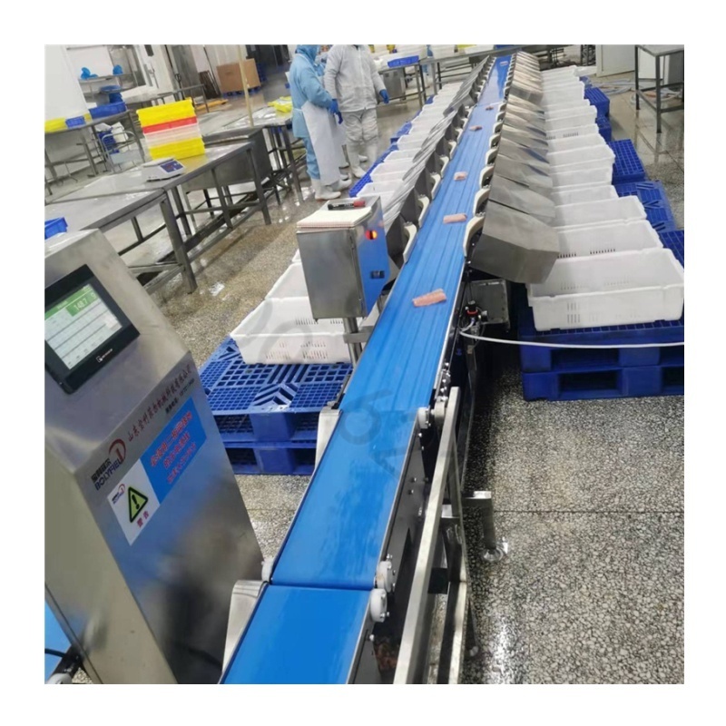 Food Processing Machinery Automatic Belt Type Weight Grading Machine for Fish Check Weight Fish Grading Machine