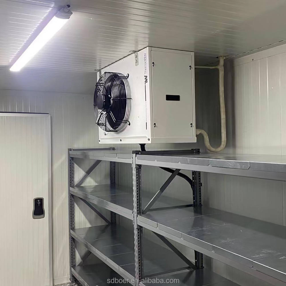 Mobile cold room color steel stainless steel walk-in freezer cold storage PU panel cold room equipment  cold room