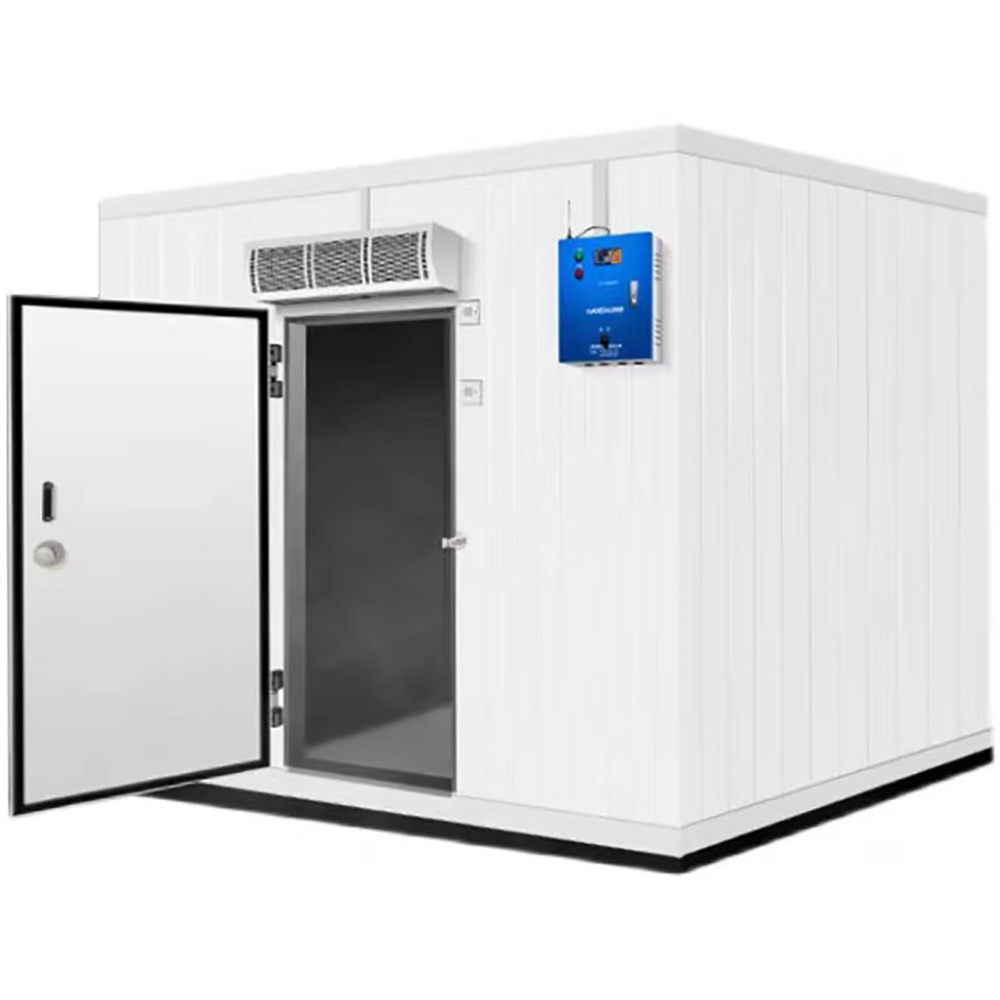 Mobile cold room color steel stainless steel walk-in freezer cold storage PU panel cold room equipment  cold room