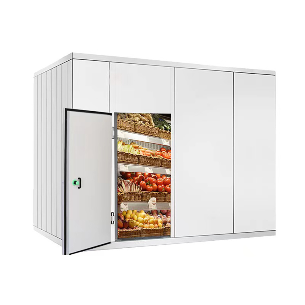 Cheap frozen fresh cold storage, frozen fresh cold room equipment with compressor condensing unit cold room