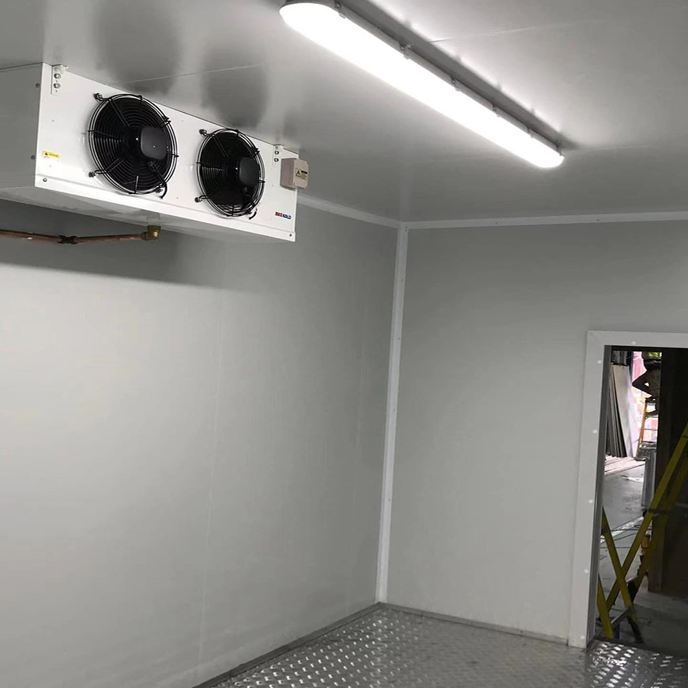 Cooling Room Cold Storage Freezer Walk In Fridge Cold Storage Room Cool Room Panels