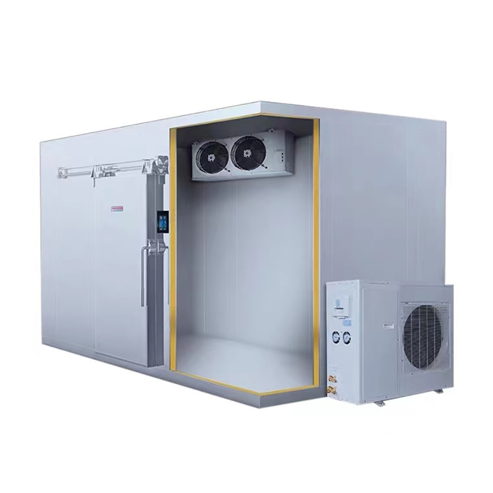 Mobile cold room color steel stainless steel walk-in freezer cold storage PU panel cold room equipment  cold room