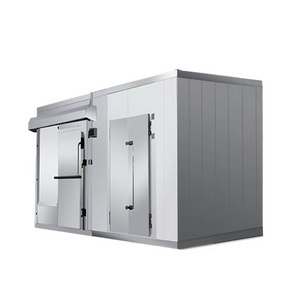 Factory low price sales walk-in freezer Cold storage equipment Explosive refrigeration for meat fish vegetables