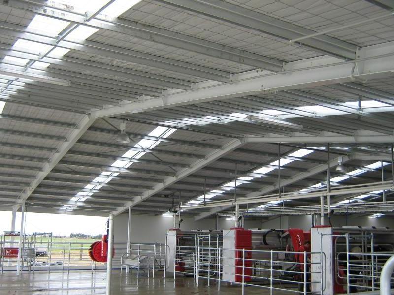 Economical Prefabricated Steel Structure Farm Modern Design Metal Building Structure Cattle Barn Cow Shed House for Sale