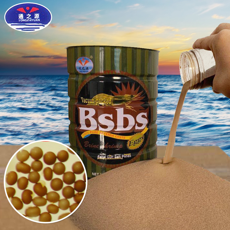 Source factory wholesale price premium quality Bohai BBS artemia cysts brine shrimp eggs