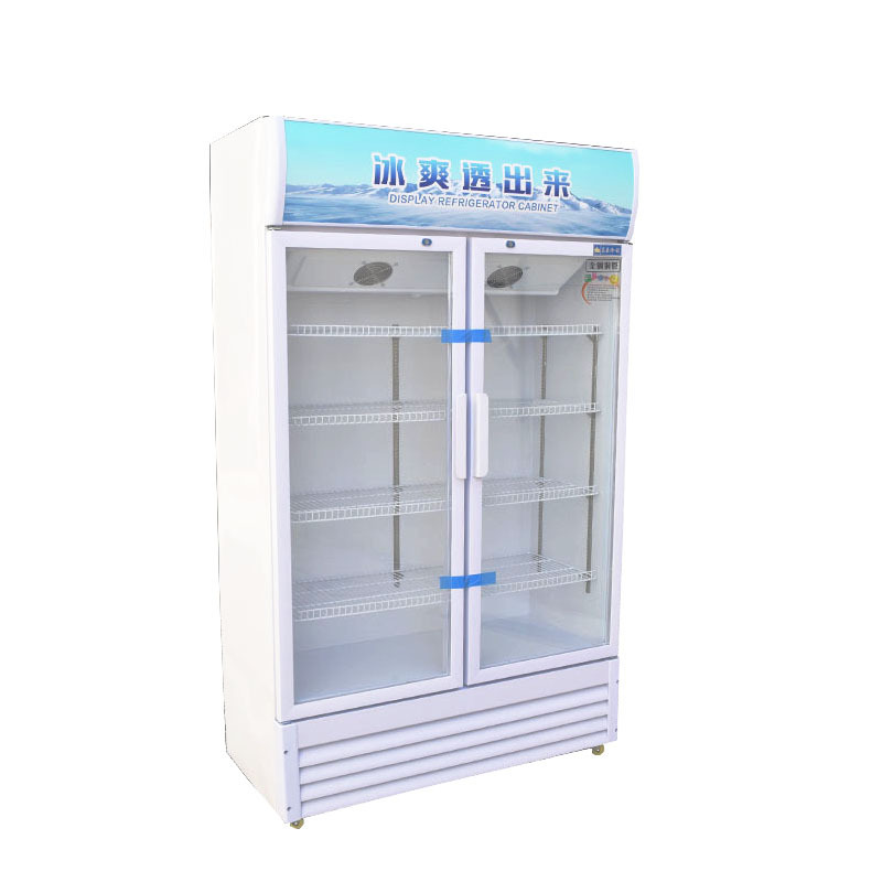 Commercial Refrigeration Equipment Commercial Display Fridge  Pepsi Display Fridge