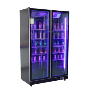 R290a foam blowing lock key Double Door Pepsi wine beverage Cold Drink cooler Display showcase with LED light