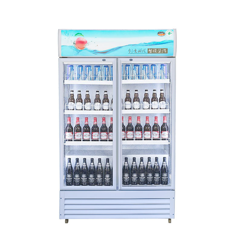 Commercial Refrigeration Equipment Commercial Display Fridge  Pepsi Display Fridge