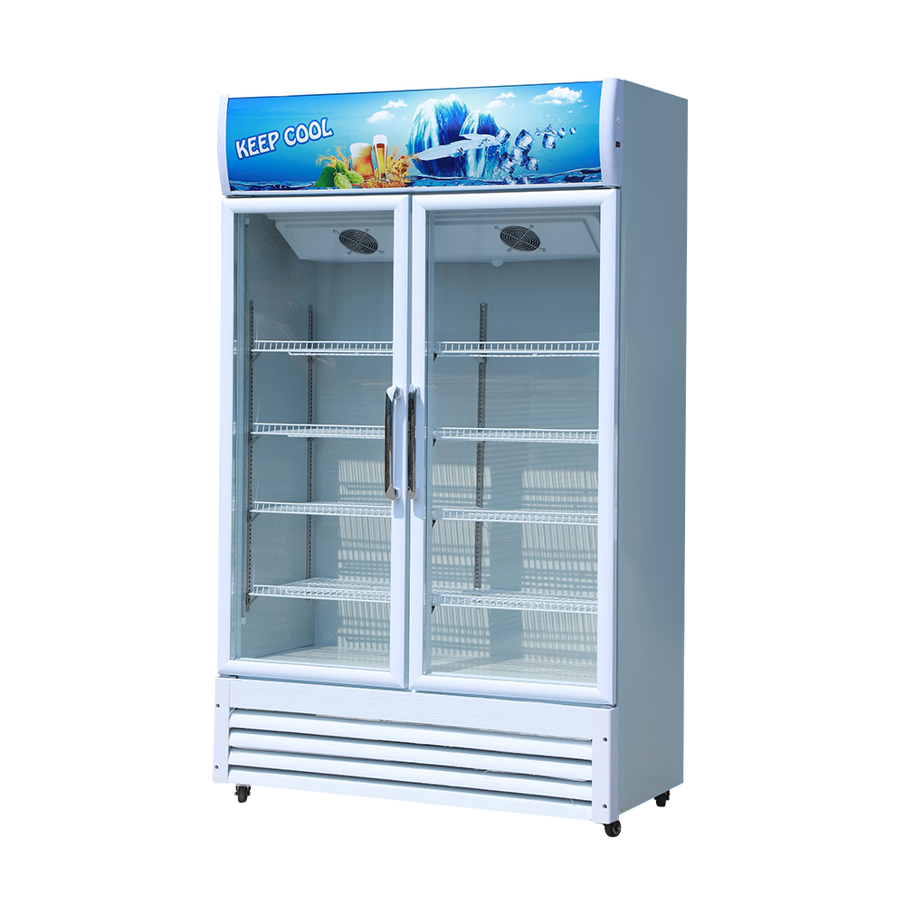 Vertical Freezers Freezer Commercial Pepsi Beverage Refrigerator/cola Vertical Glass Door Refrigerator