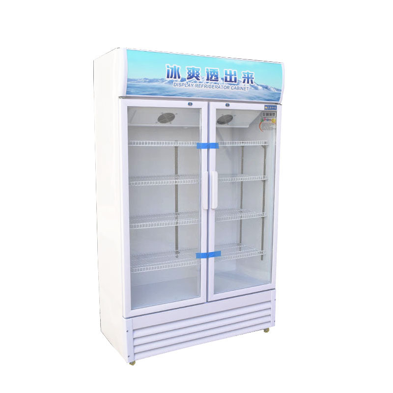 Commercial Refrigeration Equipment Commercial Display Fridge  Pepsi Display Fridge