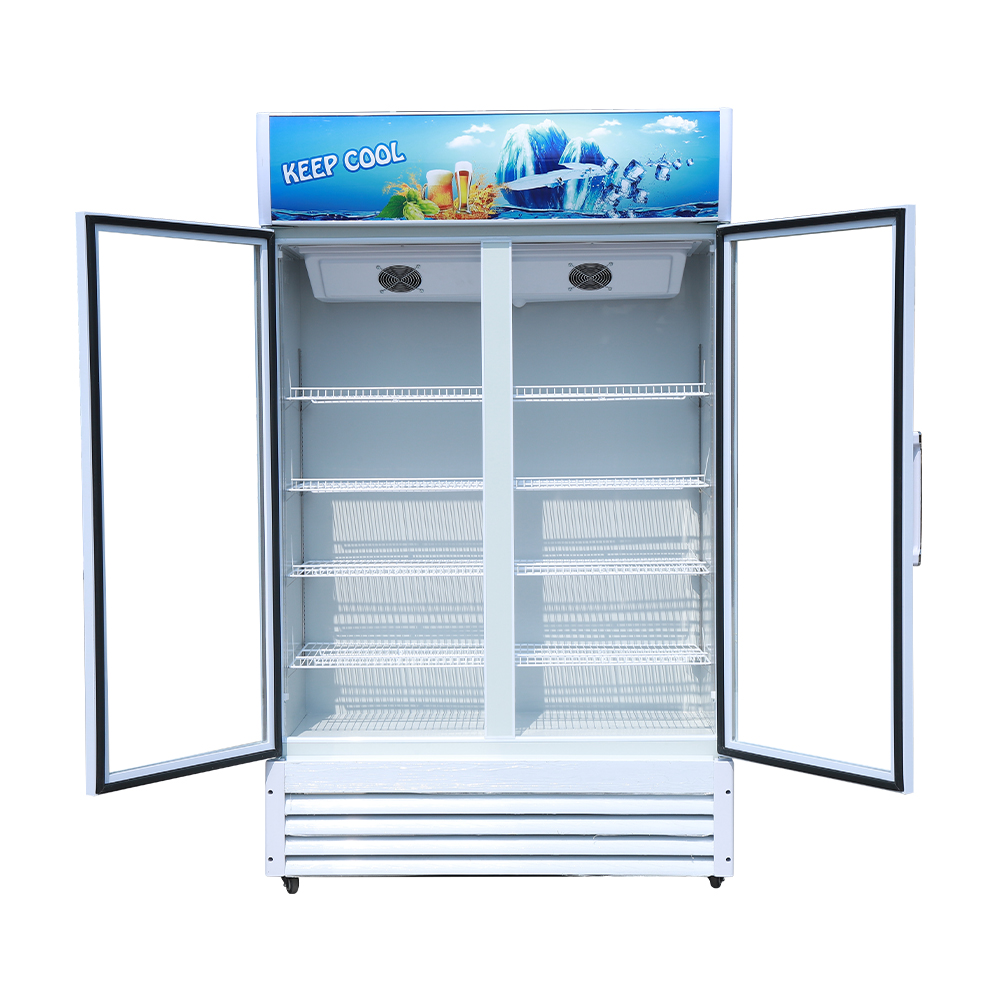 Vertical Freezers Freezer Commercial Pepsi Beverage Refrigerator/cola Vertical Glass Door Refrigerator