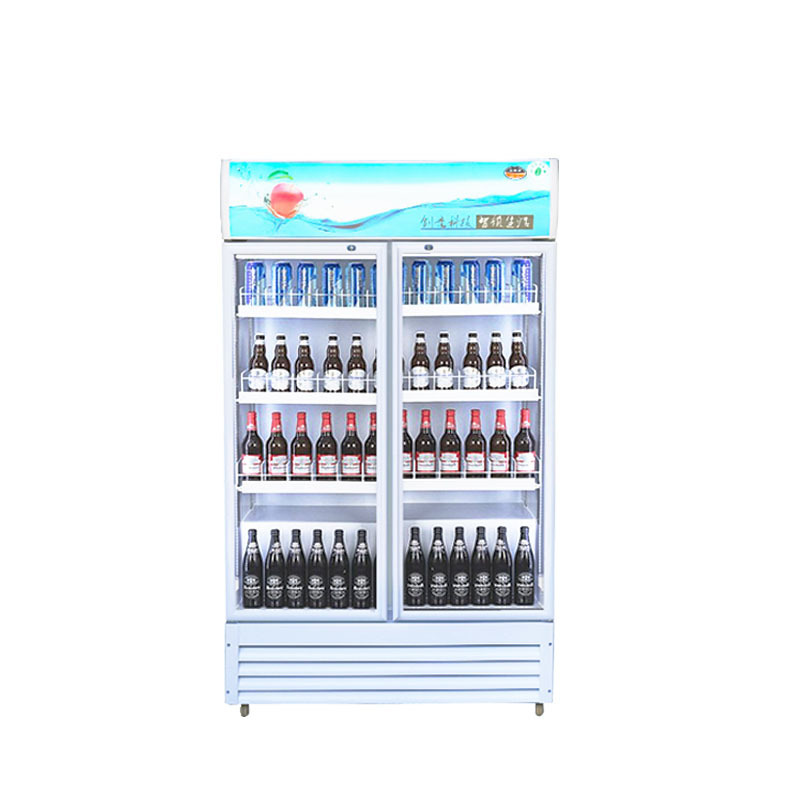 Commercial Refrigeration Equipment Commercial Display Fridge  Pepsi Display Fridge