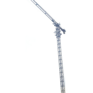 Model Used Cranes Construction Tower Crane Building Hydraulic Cylinder Tower Crane