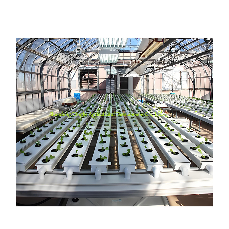 Wholesale 100x50mm pvc nft square pipe Nft Dutch Bucket Hydroponic Farming System for Tomato Pepper