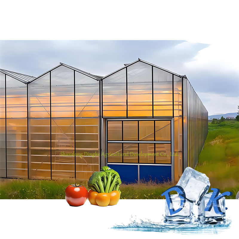 8mm/ 10mm Used Polycarbonate Greenhouse Commercial Multi Span Single Span PC Sheet Greenhouse for Sale