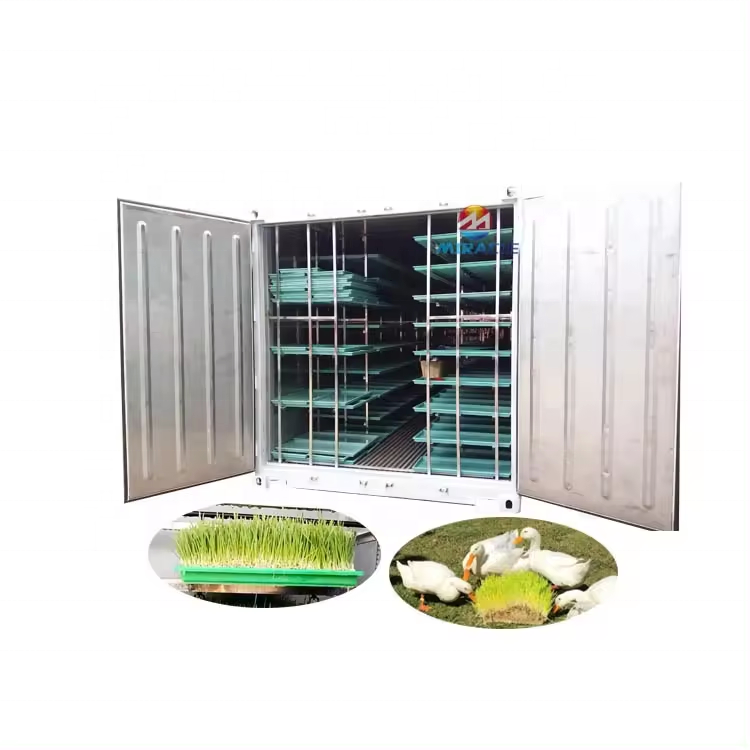 Smart farm detachable shipping container farm hydroponic growing container for lettuce/feed/rape/spinach/basil/medicinal plants