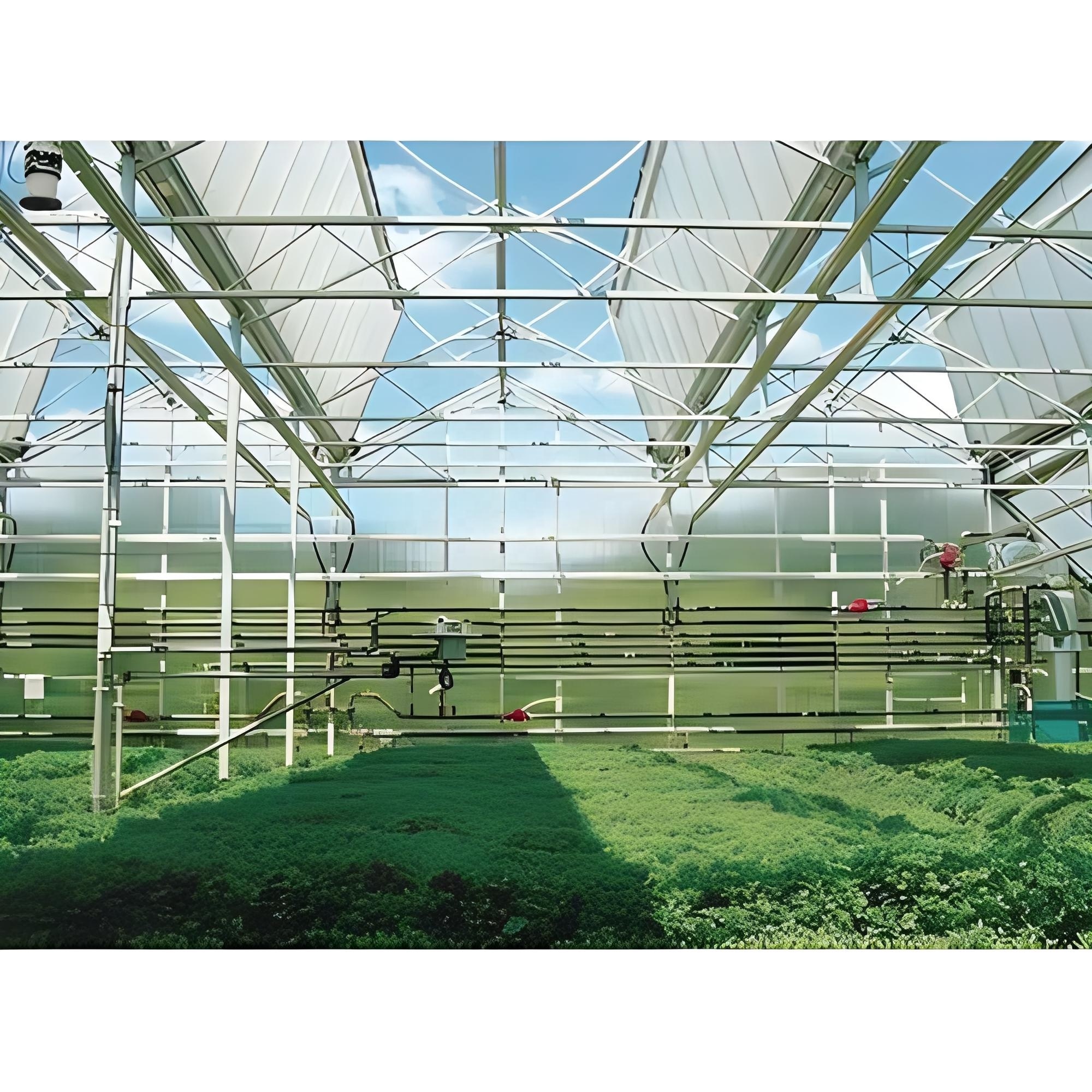 Low Price glass Multi-Span Film Greenhouse with High Quality for Tomato/Cucumber/Cherry Tomato/Dwarfed Fruit Tree