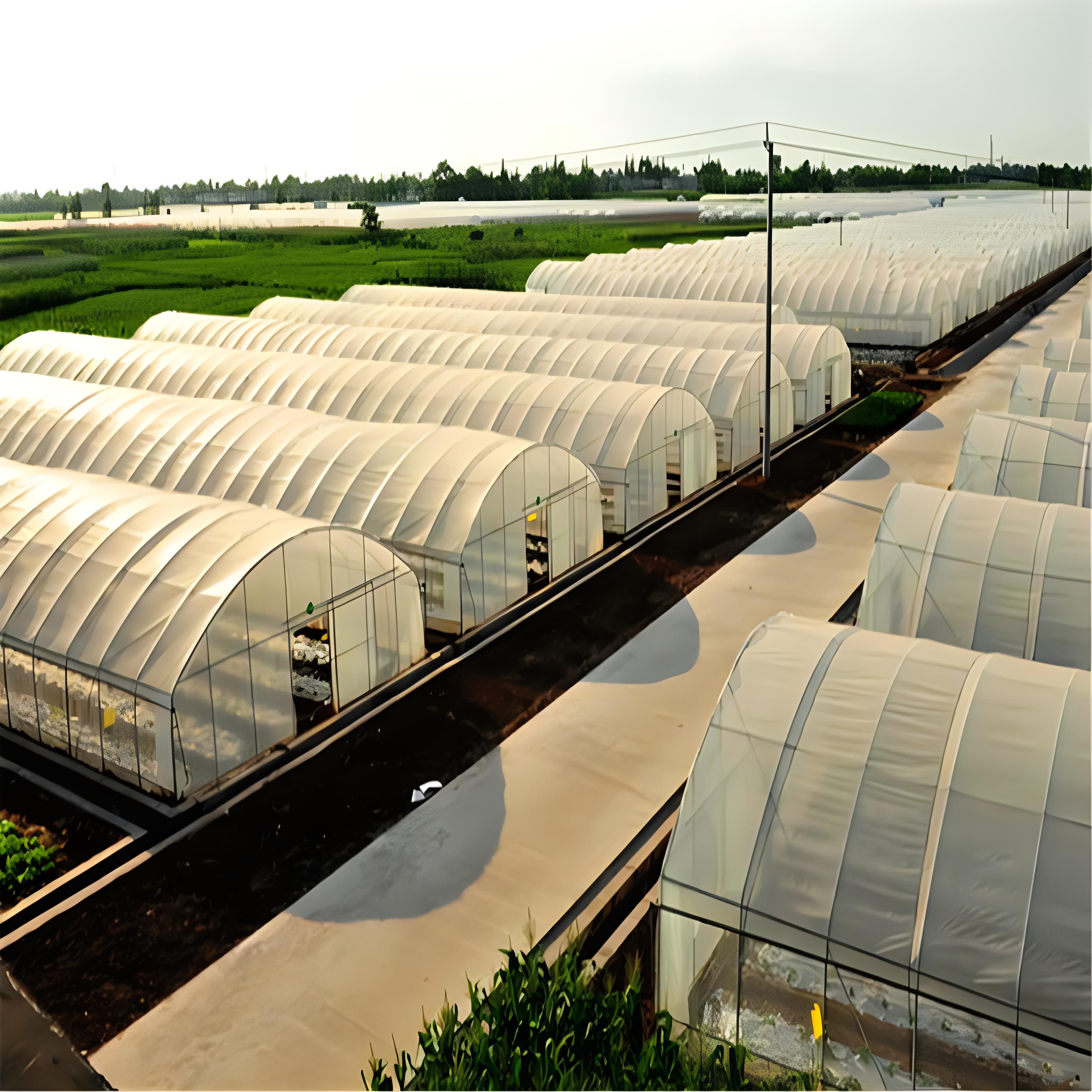 Multi Span Film Green House Greenhouse Structure Commercial Used Greenhouse Frames Commercial Film Greenhouse For Sale