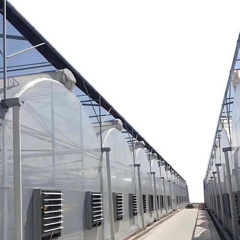 Multi Span Film Green House Greenhouse Structure Commercial Used Greenhouse Frames Commercial Film Greenhouse For Sale