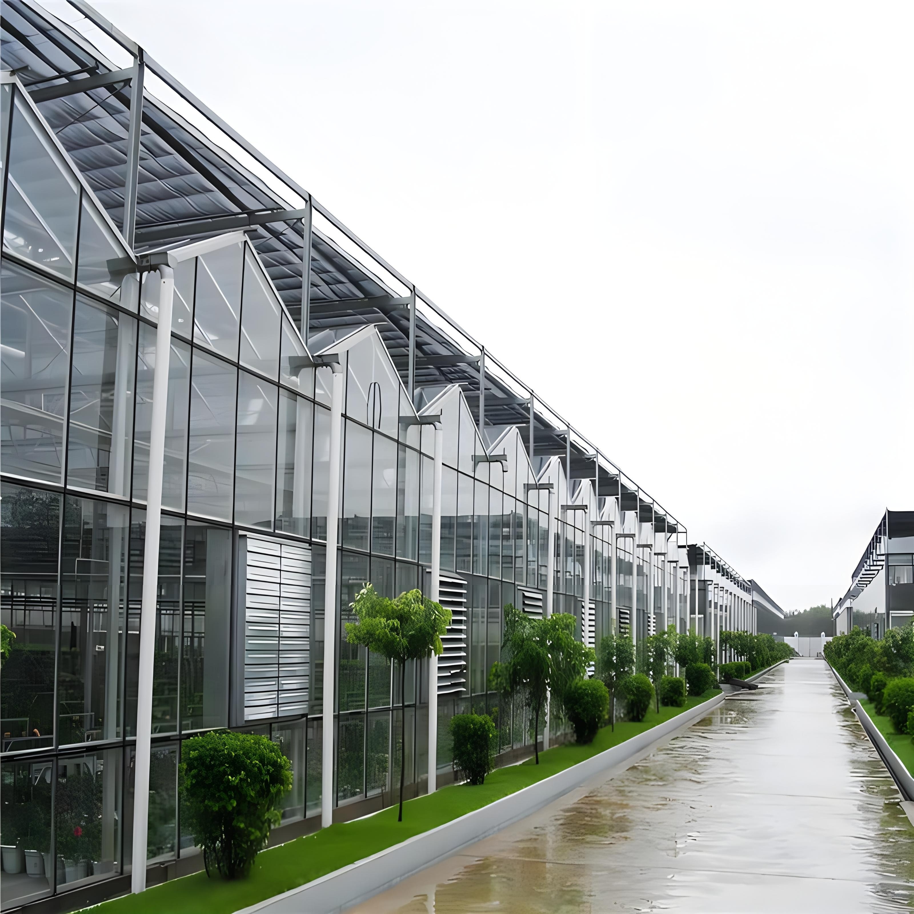 Low Price glass Multi-Span Film Greenhouse with High Quality for Tomato/Cucumber/Cherry Tomato/Dwarfed Fruit Tree