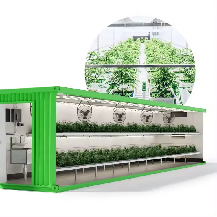 Smart farm detachable shipping container farm hydroponic growing container for lettuce/feed/rape/spinach/basil/medicinal plants