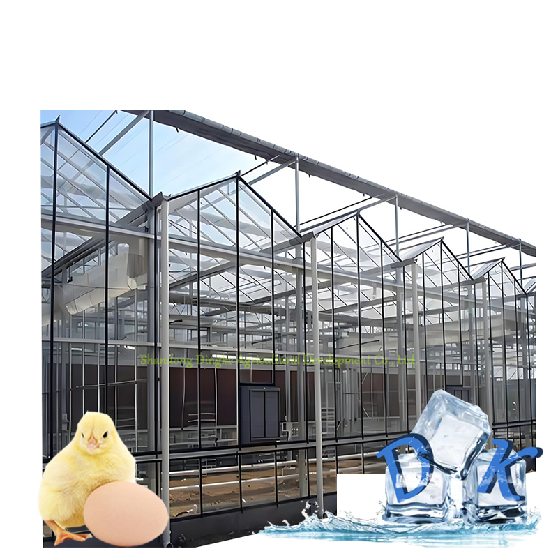 Low Price glass Multi-Span Film Greenhouse with High Quality for Tomato/Cucumber/Cherry Tomato/Dwarfed Fruit Tree